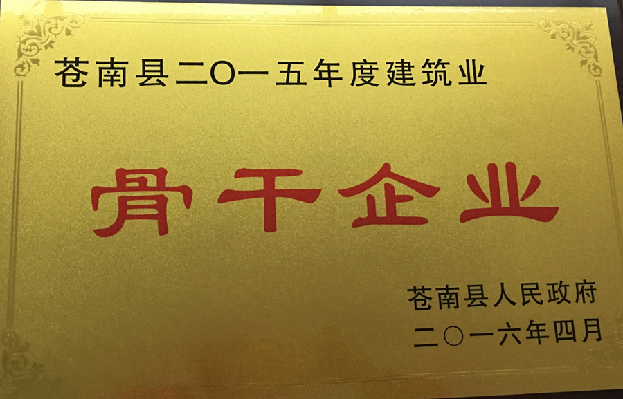 骨干企业